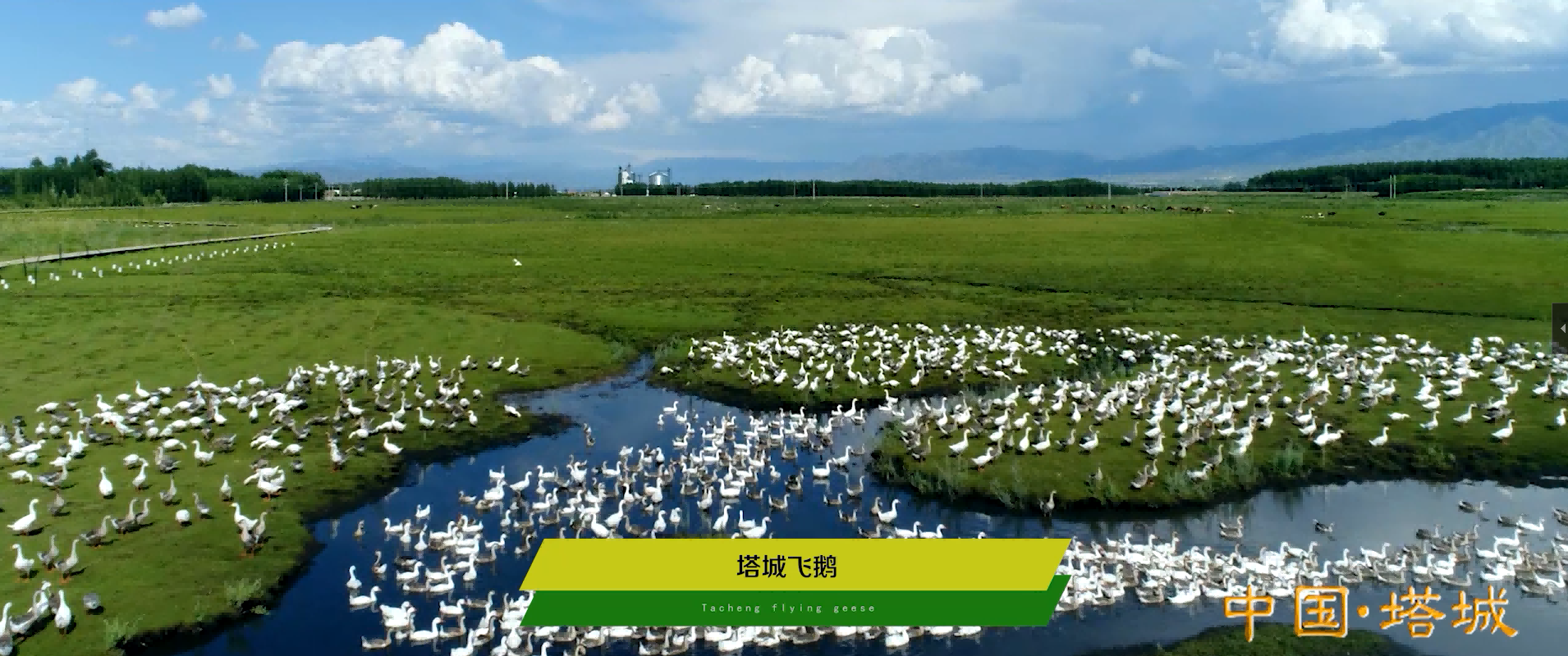 &#20048;&#25237;&#32593;&#39029;&#29256;&#45;&#20048;&#25237;&#65288;&#20013;&#22269;&#65289;